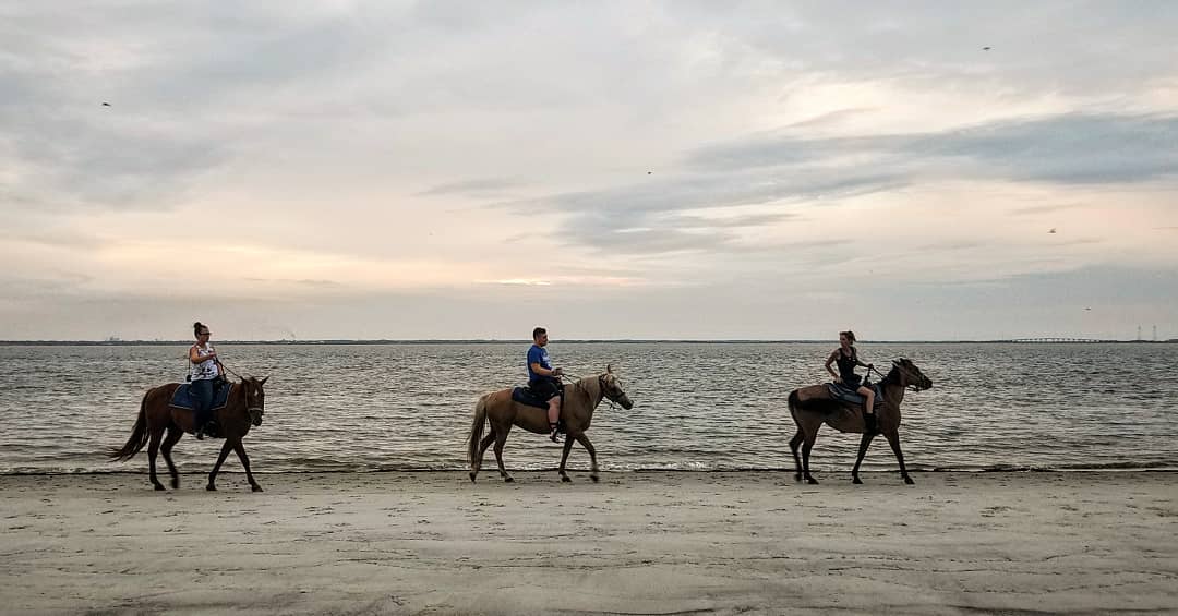 Horseback Riding In St Simons Island Lighthouse Vacations
