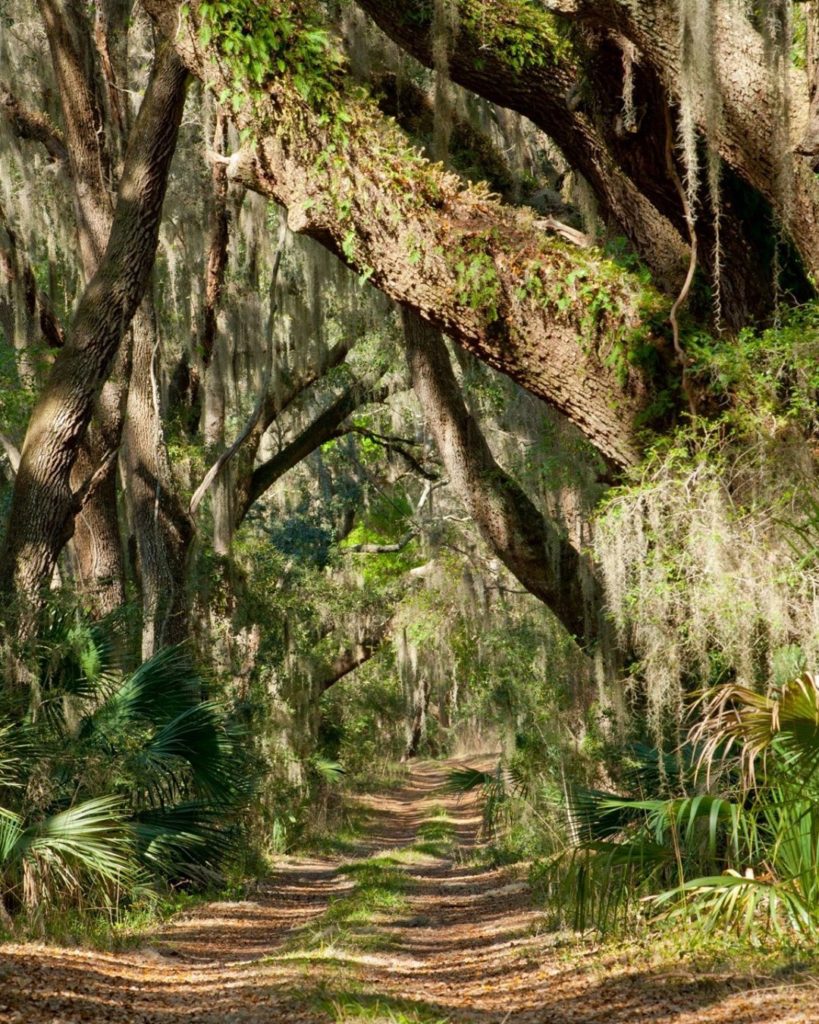 Getting Around the Island St. Simons Bike Trails | Lighthouse Vacations